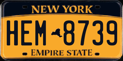 NY license plate HEM8739