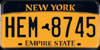 NY license plate HEM8745