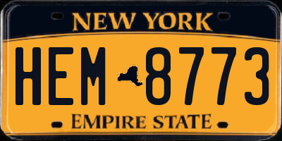 NY license plate HEM8773