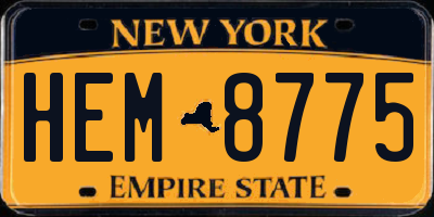 NY license plate HEM8775