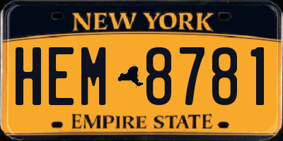 NY license plate HEM8781