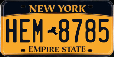 NY license plate HEM8785
