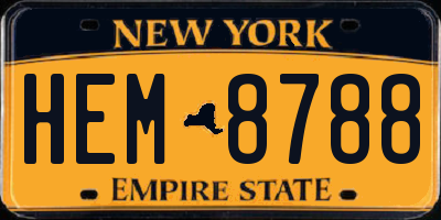 NY license plate HEM8788