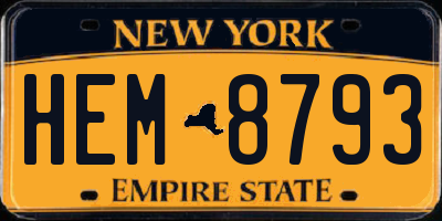 NY license plate HEM8793