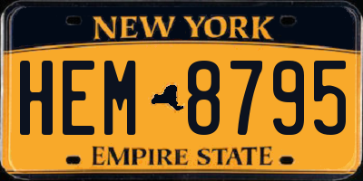 NY license plate HEM8795