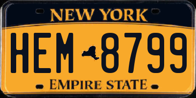 NY license plate HEM8799