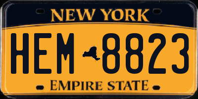 NY license plate HEM8823