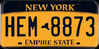 NY license plate HEM8873