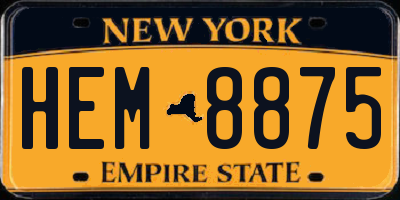NY license plate HEM8875