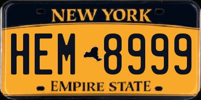 NY license plate HEM8999