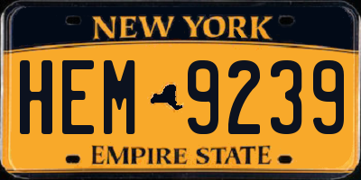 NY license plate HEM9239