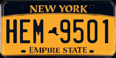 NY license plate HEM9501