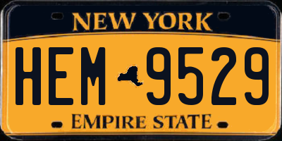 NY license plate HEM9529