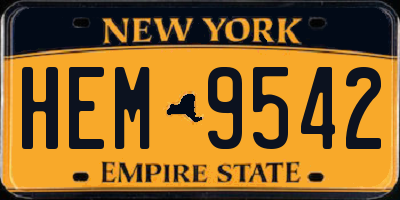 NY license plate HEM9542
