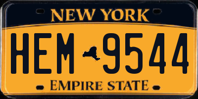 NY license plate HEM9544