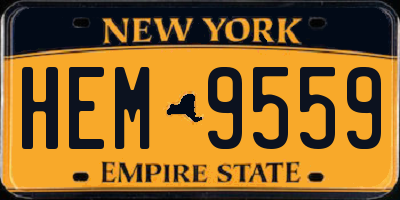 NY license plate HEM9559