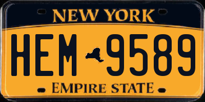 NY license plate HEM9589