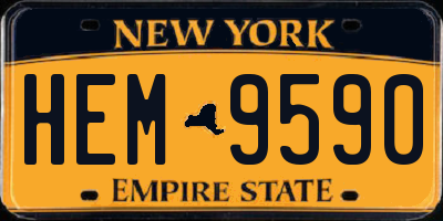 NY license plate HEM9590