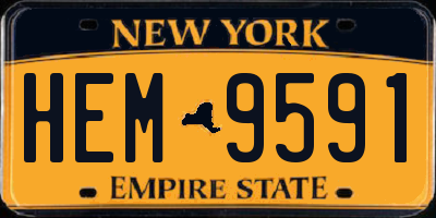 NY license plate HEM9591
