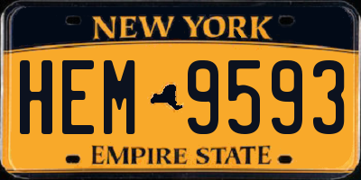 NY license plate HEM9593