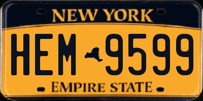 NY license plate HEM9599