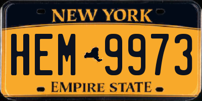 NY license plate HEM9973