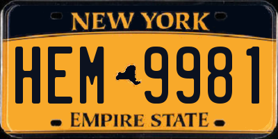 NY license plate HEM9981