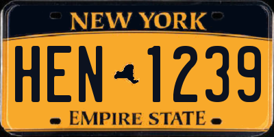 NY license plate HEN1239