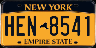 NY license plate HEN8541