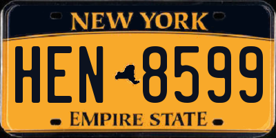 NY license plate HEN8599