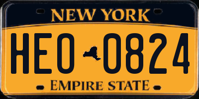 NY license plate HEO0824
