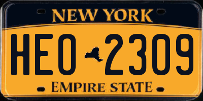 NY license plate HEO2309
