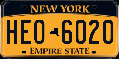 NY license plate HEO6020