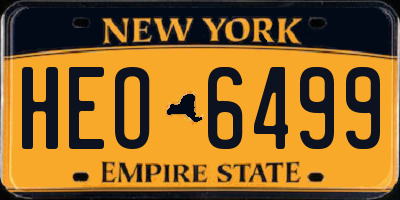 NY license plate HEO6499