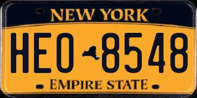 NY license plate HEO8548