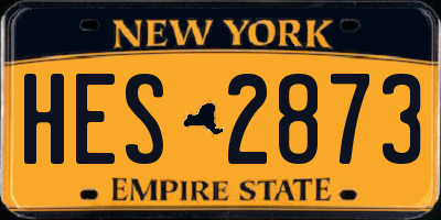 NY license plate HES2873