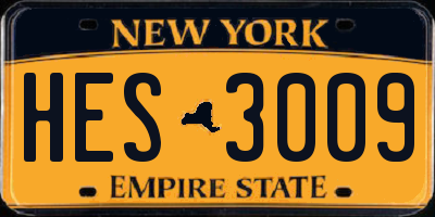 NY license plate HES3009