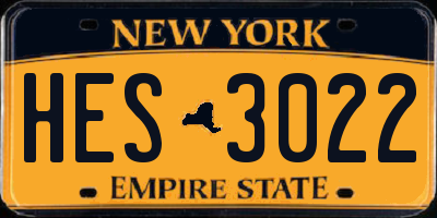NY license plate HES3022