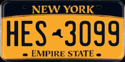 NY license plate HES3099
