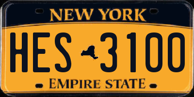 NY license plate HES3100