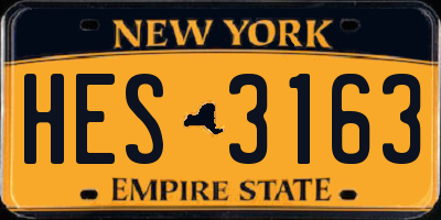 NY license plate HES3163