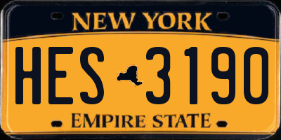 NY license plate HES3190