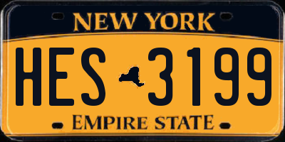 NY license plate HES3199