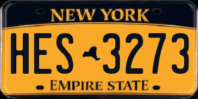 NY license plate HES3273