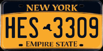 NY license plate HES3309