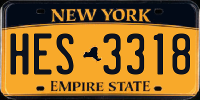 NY license plate HES3318