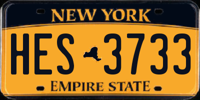 NY license plate HES3733