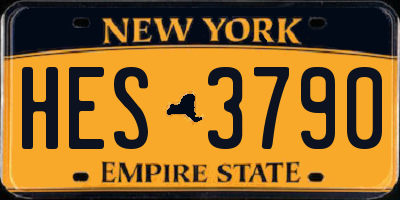 NY license plate HES3790