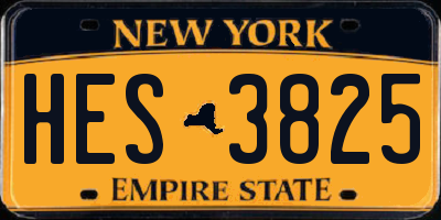 NY license plate HES3825