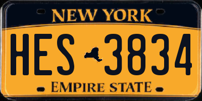 NY license plate HES3834